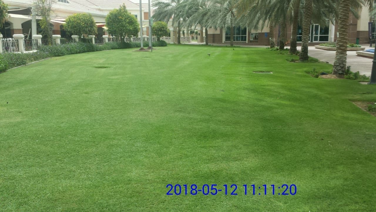 Repton Shhool - Dubai