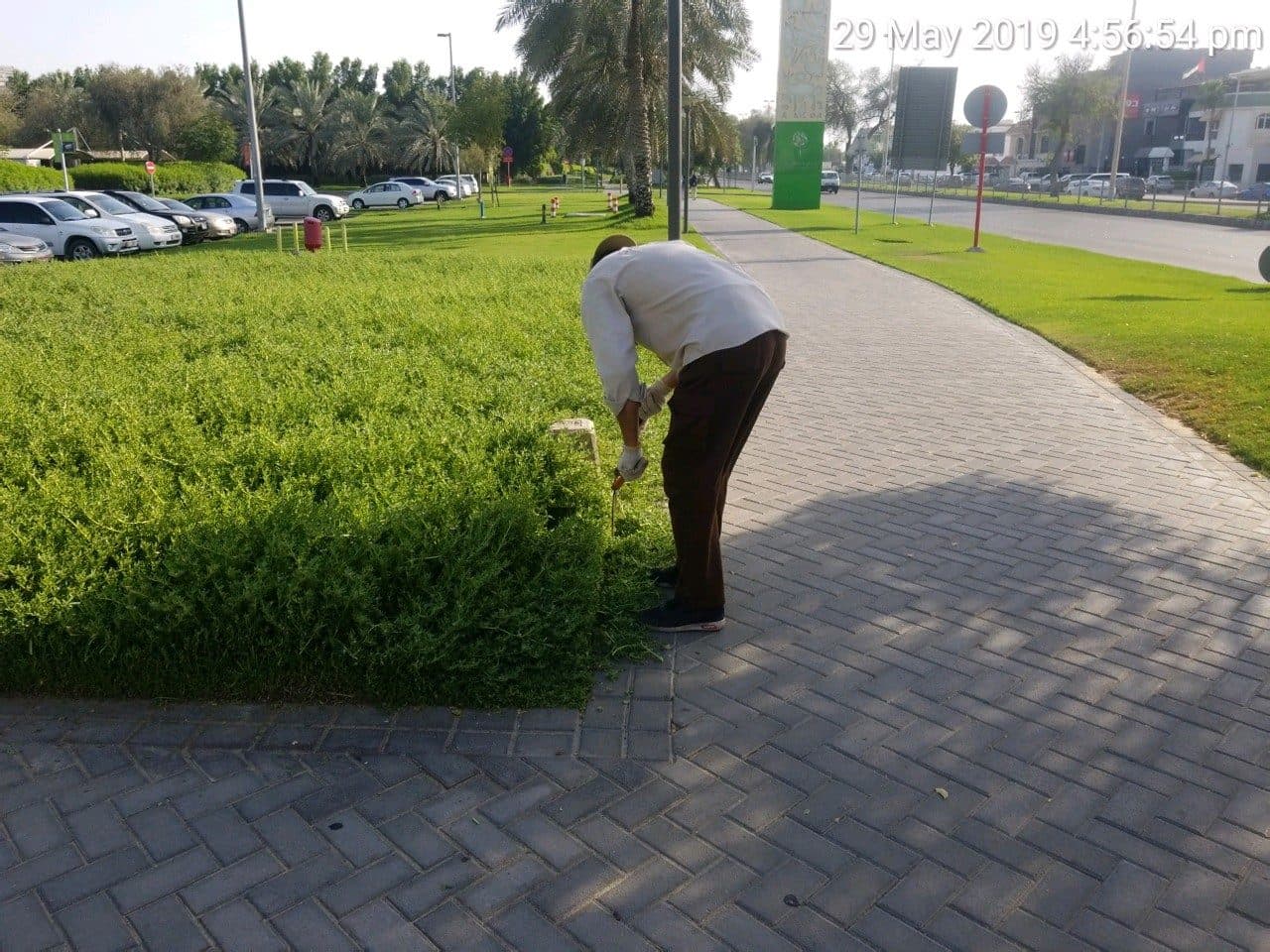Umm Alemarat Park
